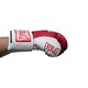 Боксерські рукавички EVERLAST 8 oz стрейч червоно-білі