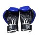 Боксерські рукавички BOXER NEW 12 оz шкіра сині