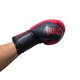 Боксерські рукавички EVERLAST 10 oz стрейч червоно-чорні
