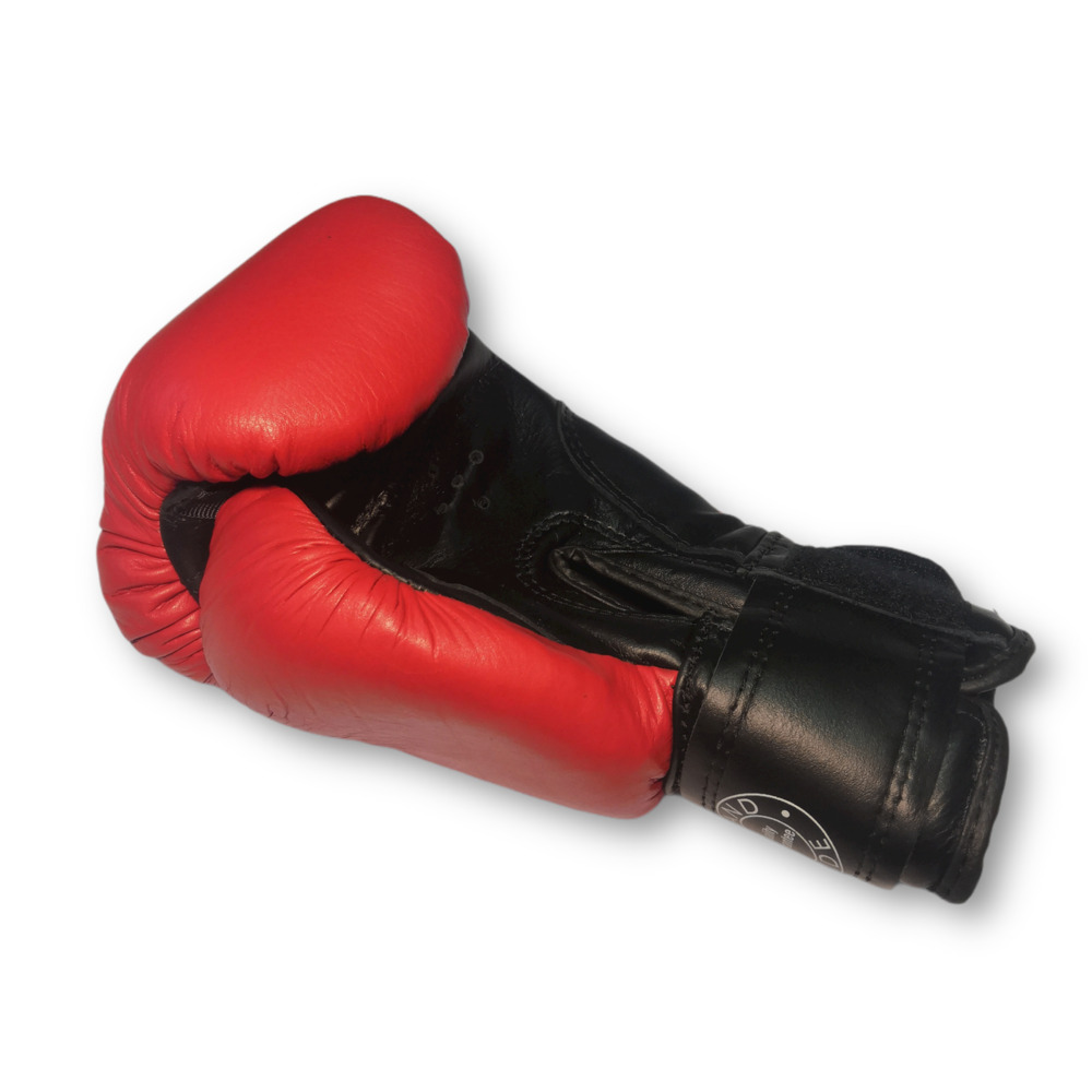 Боксерські рукавички BOXER 10 oz шкіра червоні