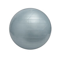М'яч для фітнесу PROFIT BALL 65 см сірий