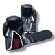 Боксерські рукавички EVERLAST 10 oz шкіра чорні