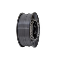 Філамент DSF PETG 1.75 мм, 0.78 кг, 250 м, Сірий